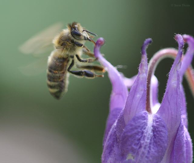 Eine unserer Helferinnen bei der Arbeit